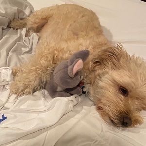 Meet your Posher, Drew